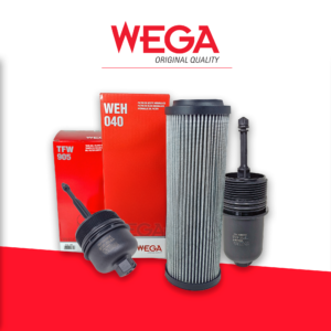 Leia mais sobre o artigo Wega Motors expande portfólio com três novos lançamentos