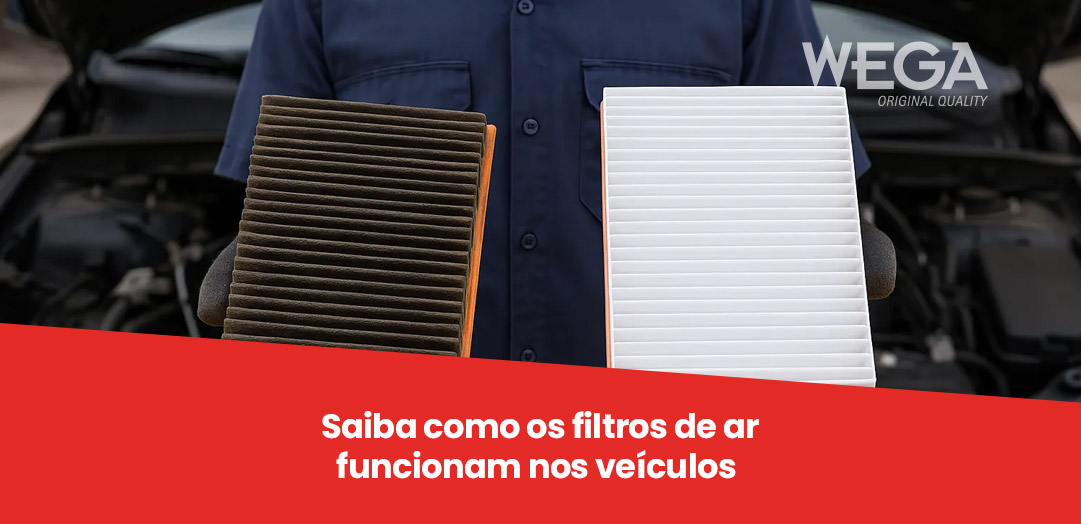 No momento, você está visualizando Quer fugir da poluição no outono? Saiba como os filtros de ar funcionam nos veículos 