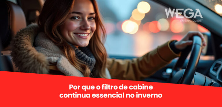 filtro-de-cabine-inverno-wega