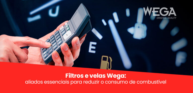 POST-02-WEGA-AGOSTO-2025